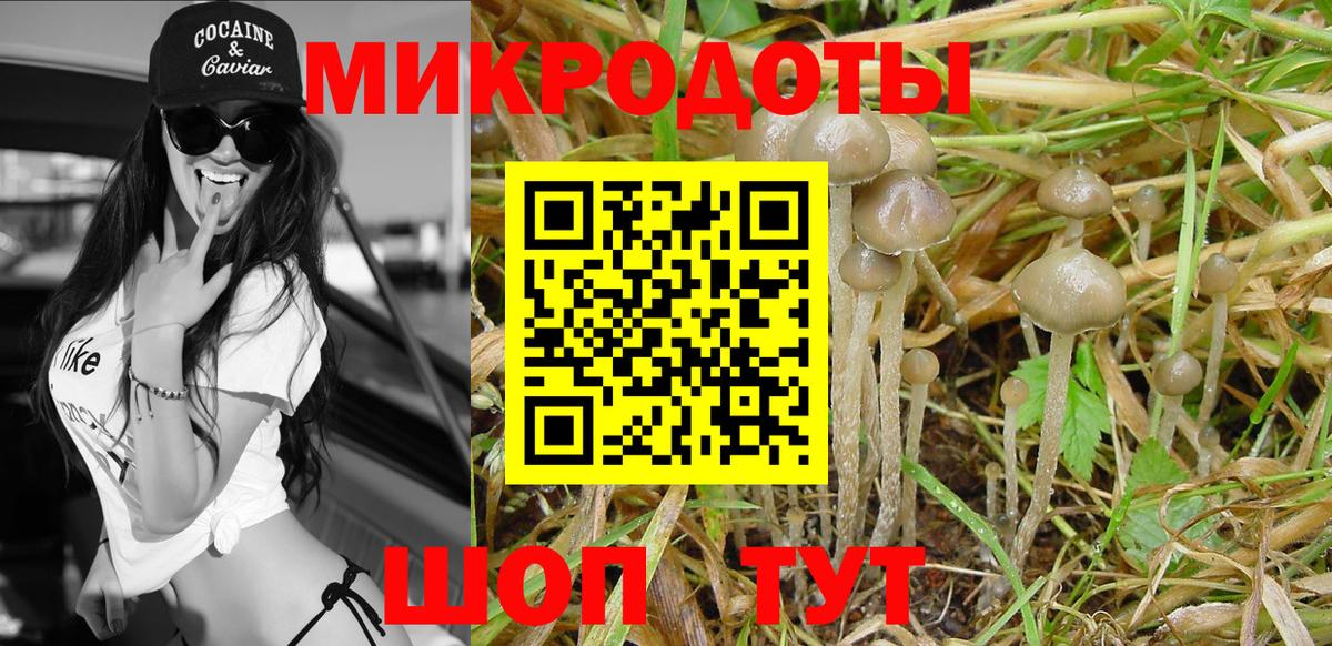 Псилоцибиновые грибы Magic Shrooms  Вход с VPN  Нарьян-Мар 